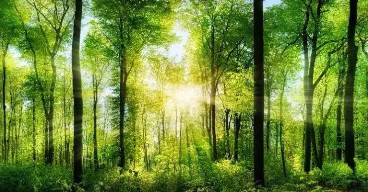 常州涂料網(wǎng) 常州涂料網(wǎng)